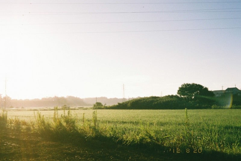 田んぼの写真