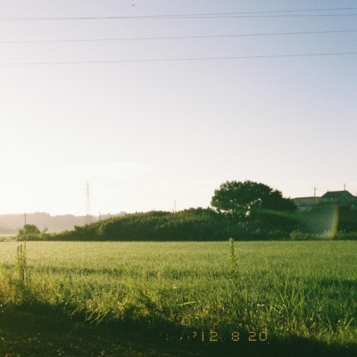 田んぼの写真