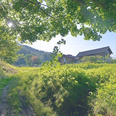 岩手県遠野市ゲストハウス予定地