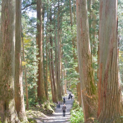 戸隠神社の参道を歩く