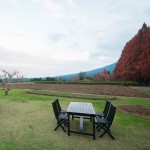 宮崎県小林市の生駒高原にて