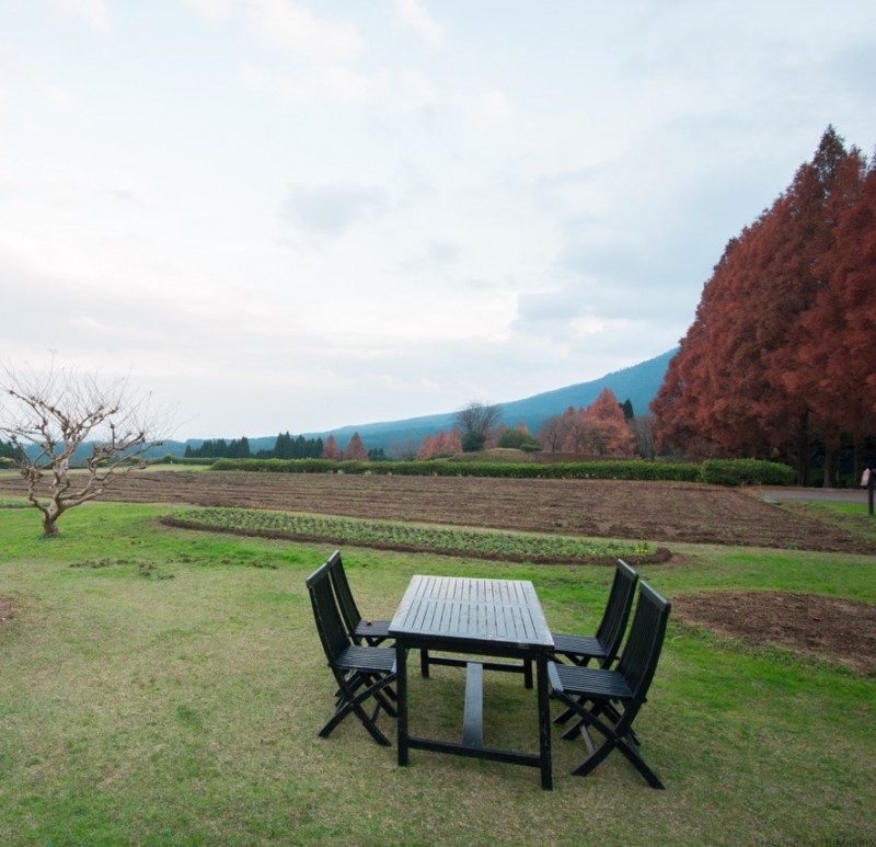 宮崎県小林市の生駒高原にて