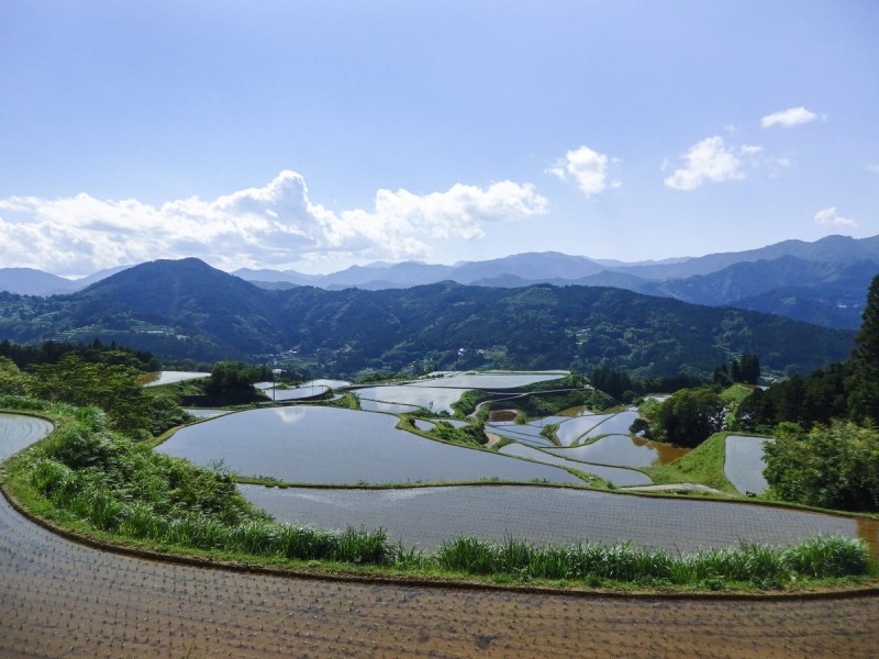 高知県土佐町の棚田