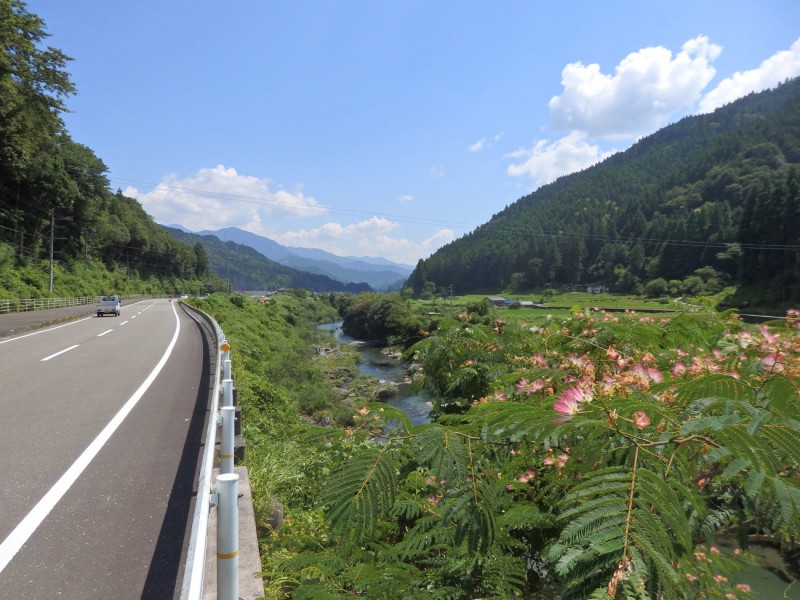 ねむの花・高知県土佐町で撮影。