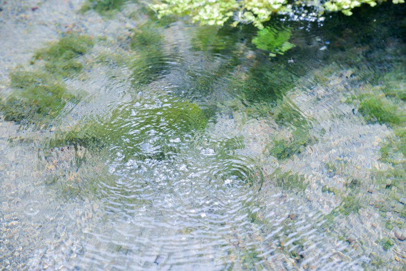 宮崎県小林市の湧水