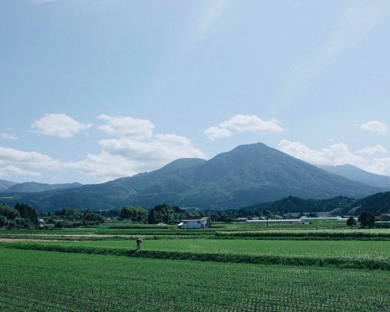 宮崎県小林市の山