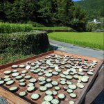 今日の一枚・高知県土佐町