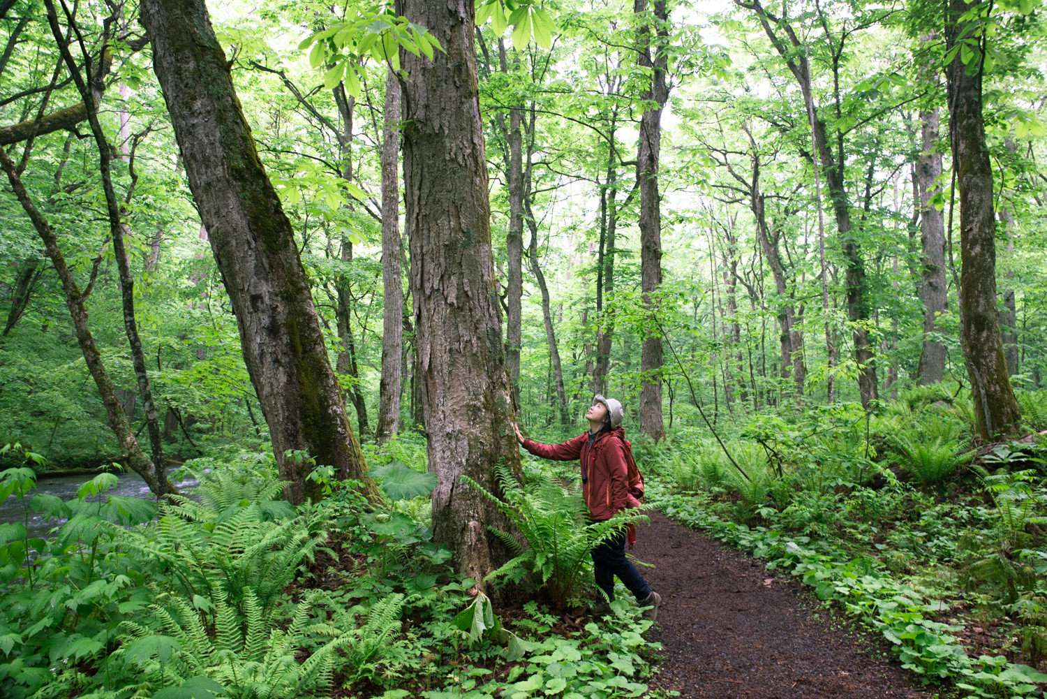 青森県十和田市の十和田市現代美術館