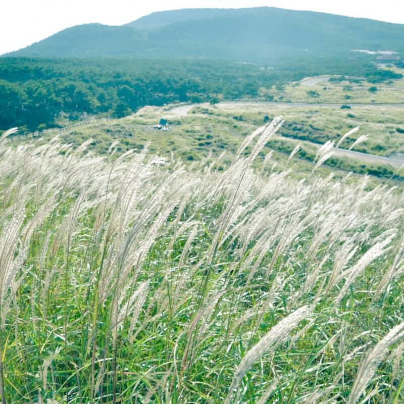 草原・宮崎県小林市